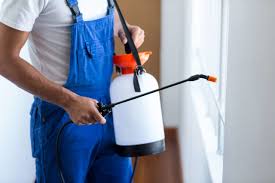 Best Pest Prevention Services  in Johnson City, TN